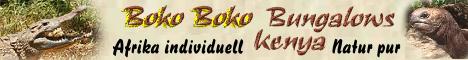 Boko Boko Kenya; Kikambala